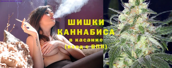 спайс Алзамай