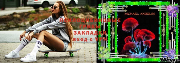 бошки Алексеевка