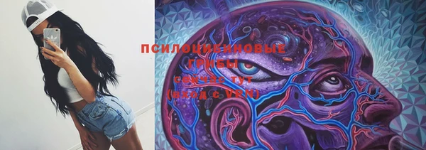 дмт Алексин
