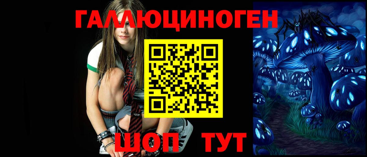 Галлюциногенные грибы Psilocybe  Вход с VPN  Кострома  Галлюциногенные грибы мухоморы 