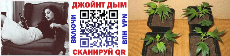 KRAKEN ссылки  Кострома  Конопля индика  площадка формула  где найти наркотики 